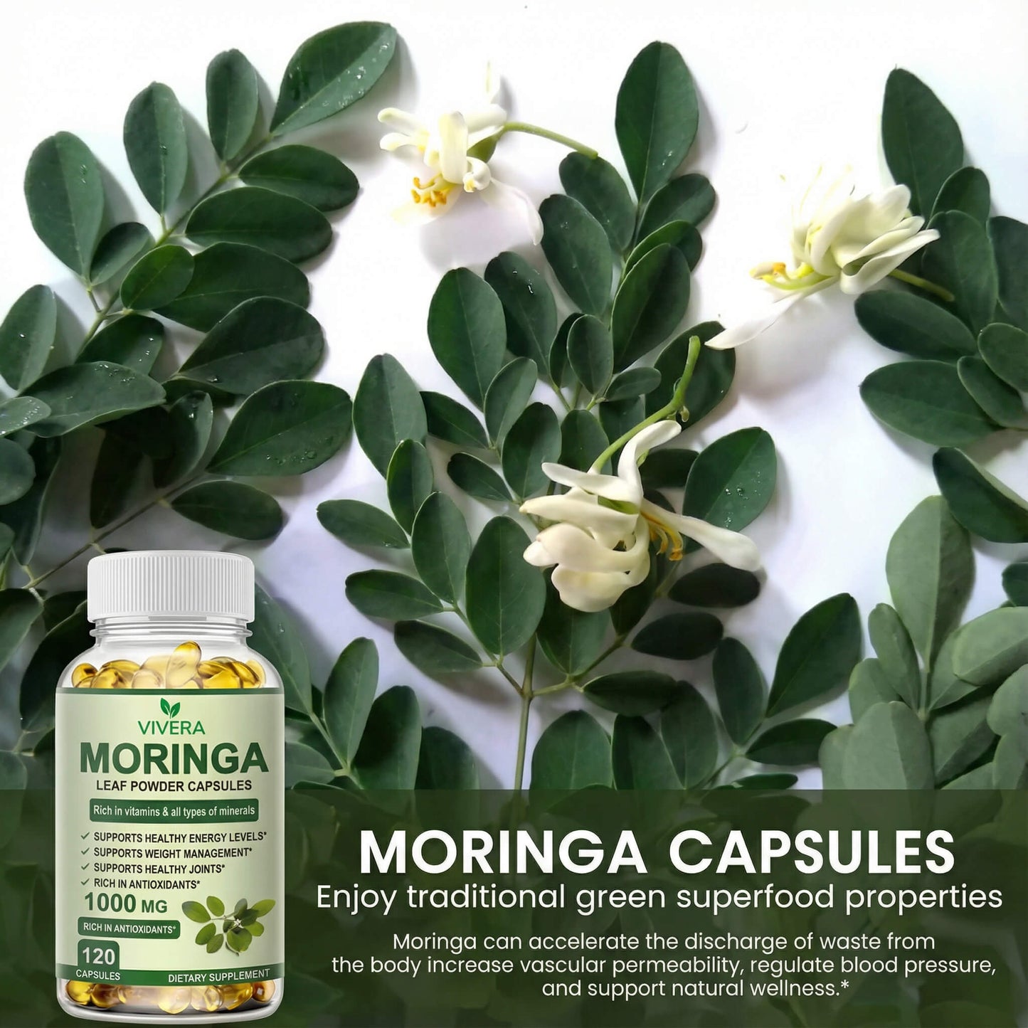 Moringa Leaf Capsules